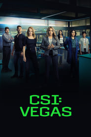CSI: Vegas Türkçe Dublaj izle 