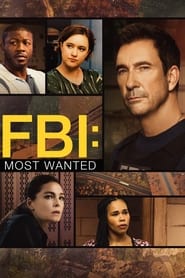 FBI: Most Wanted Türkçe Dublaj izle 
